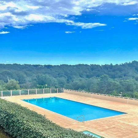Grand Studio Avec Coin Nuit, Proche Mer Et Montagnes Roquebrune-sur Argens Exteriér fotografie